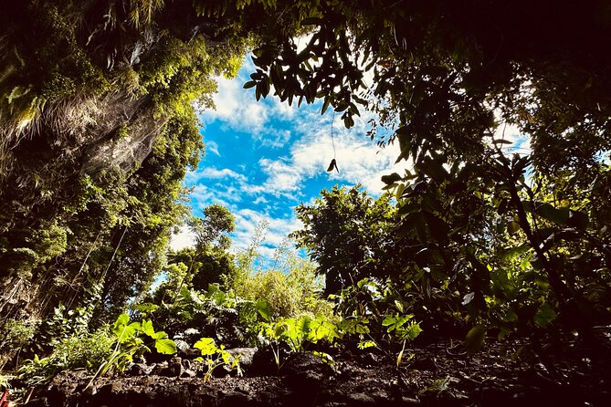 Explore Tahiti Nui, its landscapes and iconic sites. - Why this half-day tour works so well