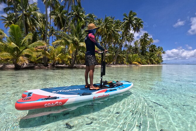 Fakarava 2-tank Certified Scuba Dive - Certification, health, and flight rules