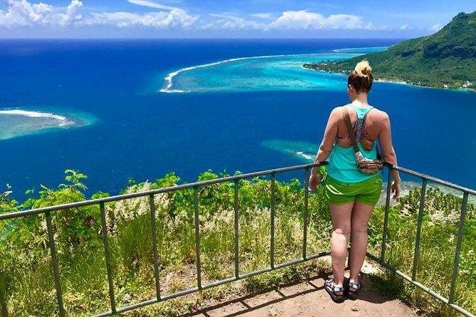Franckyfranck Tours Moorea - Half day Tours - Pineapple fields in Opunohu Valley