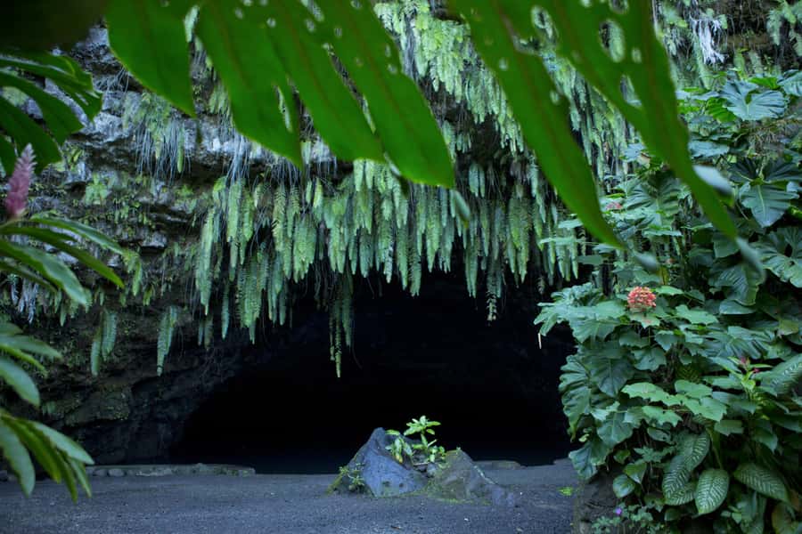 From Papeete: Tahiti Highlights Full-Day Private Tour - Guides, vehicles, and the human side of the day