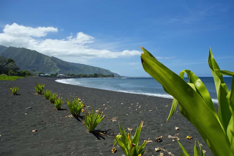 From Papeete: Tahiti Highlights Full-Day Private Tour - Vaipahi Water Gardens: a gentler side of the island