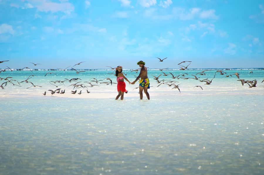 From Tahiti: Tetiaroa Island Tour by Sailing Catamaran - Is the $227 price worth it?