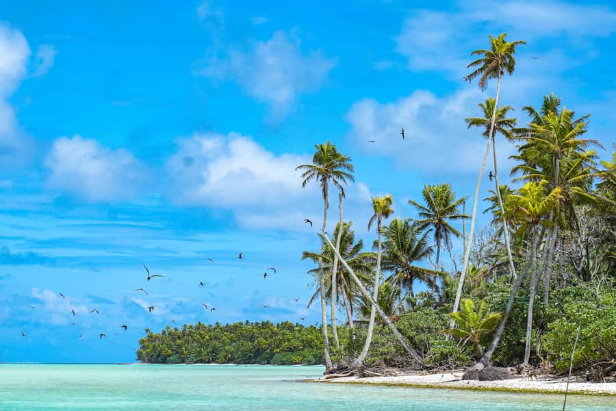 From Tahiti: Tetiaroa Island Tour by Sailing Catamaran - Leaving Papeete before sunrise