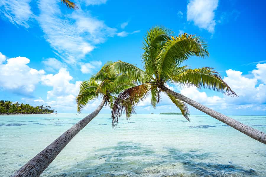 From Tahiti: Tetiaroa Island Tour by Sailing Catamaran - A guided walk toward Bird’s Island