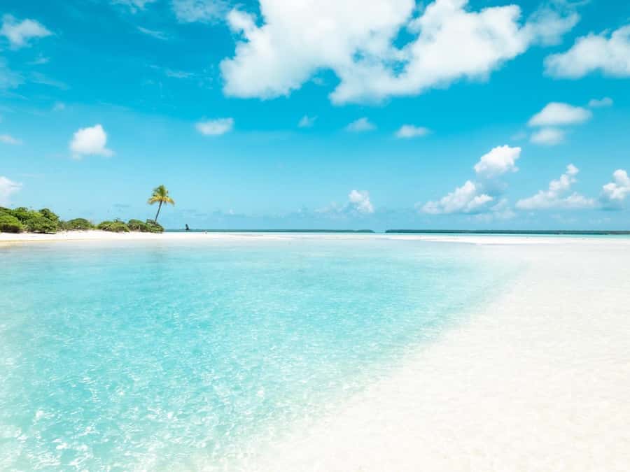 From Tahiti: Tetiaroa Island Tour by Sailing Catamaran - A Tahitian lunch back aboard the catamaran