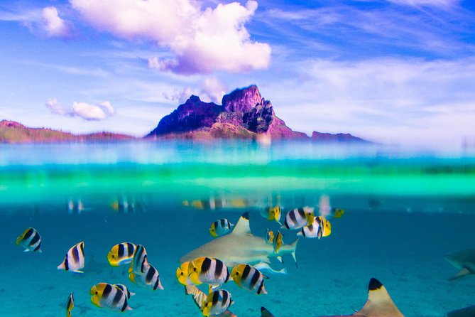Full-Day Bora Bora Lagoon Cruise Including Snorkeling with Sharks and Stingrays - Key things to know before you go