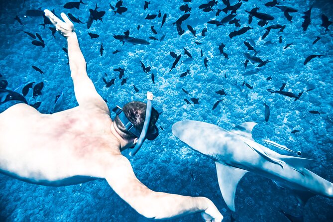 Full-Day Bora Bora Lagoon Cruise Including Snorkeling with Sharks and Stingrays - What the guides add to the day