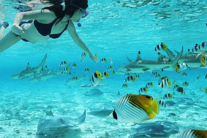 Full Day Combo Bora Bora ATV Tour & Motu Pass with Buffet - What is served at the Polynesian buffet