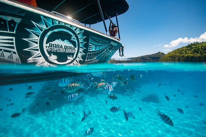 Full Day Eco Snorkeling & Traditional BBQ Lunch on a Motu - The coral garden and the value of variety