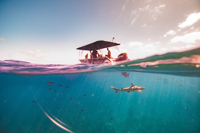Full Day Eco Snorkeling & Traditional BBQ Lunch on a Motu - Arriving at the private motu for lunch