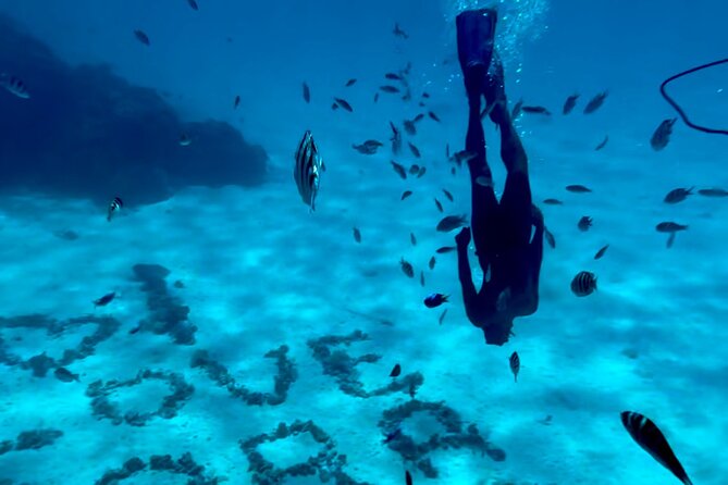 Full Day Lagoon experience with motu lunch - Key things to know before you book