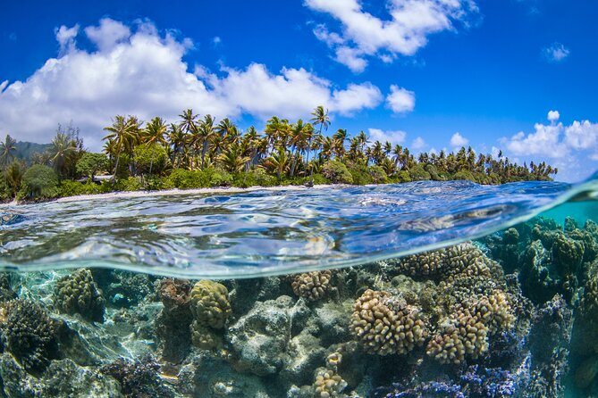 Full Day Lagoon Group Tour in Bora Bora with Lunch - A slow cruise around Bora Bora