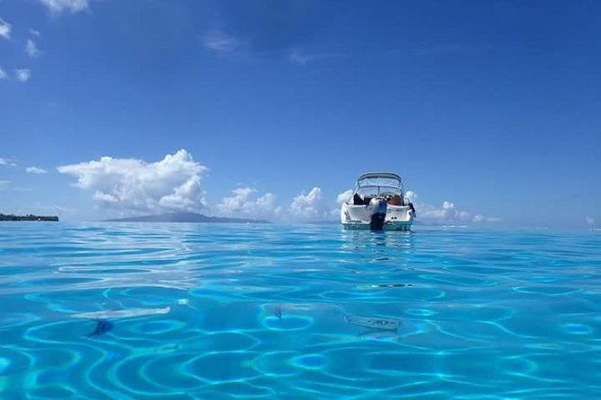 Full-Day Private Boat Tour of Bora Bora Lagoon with Snorkel - Rays, Manta Rays, Sharks, and Reef Fish