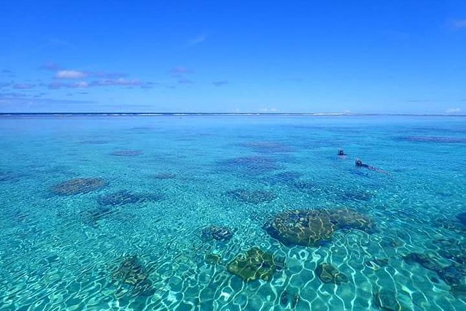 Full-Day Private Boat Tour of Bora Bora Lagoon with Snorkel - A Relaxed Afternoon on the Lagoon