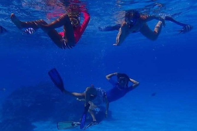 Full-Day Private Boat Tour of Bora Bora Lagoon with Snorkel - Six to Eight Snorkelling Stops Across the Lagoon