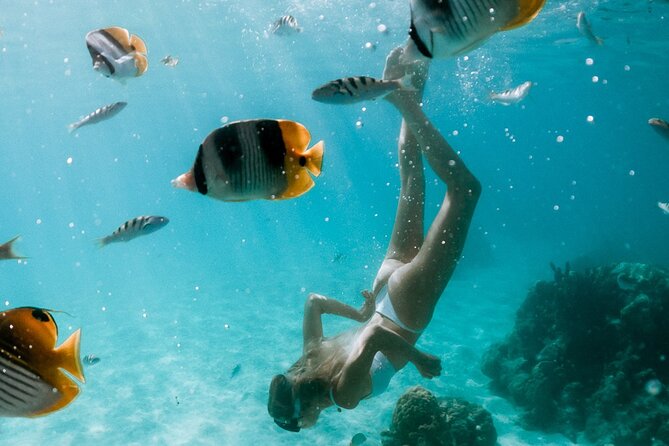 Full Day Tour : Moorea Snorkeling & Sunset Cruise on a Catamaran named Taboo - Three snorkeling stops along Moorea’s north coast