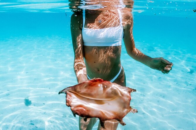 Full Day Tour : Moorea Snorkeling & Sunset Cruise on a Catamaran named Taboo - What the shark and ray encounters are really like