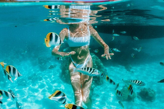 Full Day Tour : Moorea Snorkeling & Sunset Cruise on a Catamaran named Taboo - Stop 1: Voila Moorea and the start of the cruise