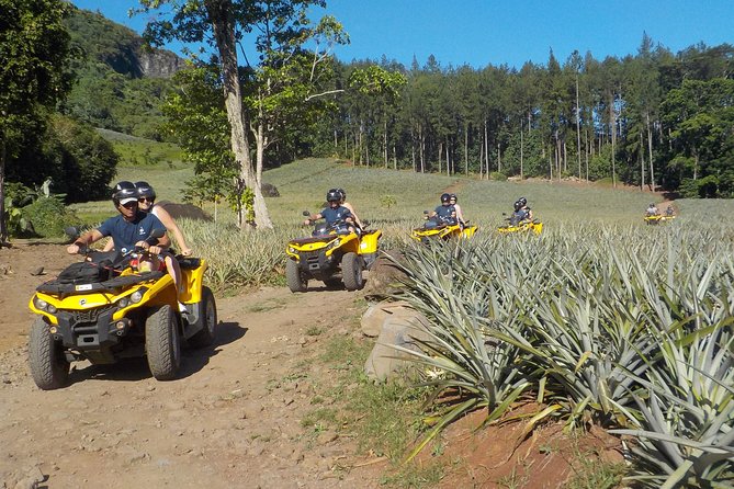 Grand Combo 3H00 of Jetski + 2H30 of Quad - The 2.5-hour quad ride into the hills