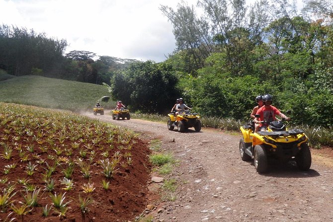 Grand Tour Quad Excursion in Moorea (Single or Two-Seater) - Guides are a major part of the value