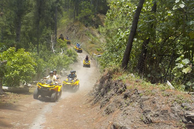 Grand Tour Quad Excursion in Moorea (Single or Two-Seater) - Is $134.33 a fair price?