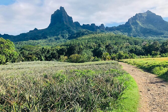 Guided Excursion in 4x4 in Moorea between Land and Sea - Pineapple Fields, Rivers, and the Eel Legend
