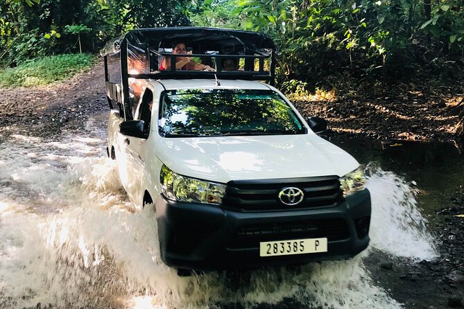Guided Excursion in 4x4 in Moorea between Land and Sea - Tropical Garden Lunch with a 360-Degree View