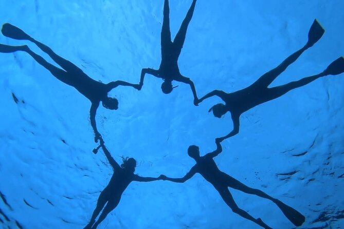 Guided Small Group Whale Watching and Swim Tour Tahiti - Lagoon snorkeling when whales keep their distance