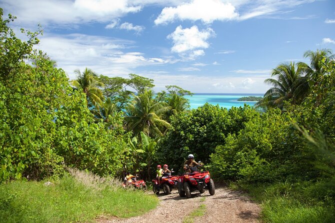 Guided Tour of Bora Bora by Quad - Teonetere, a jungle pause with refreshments