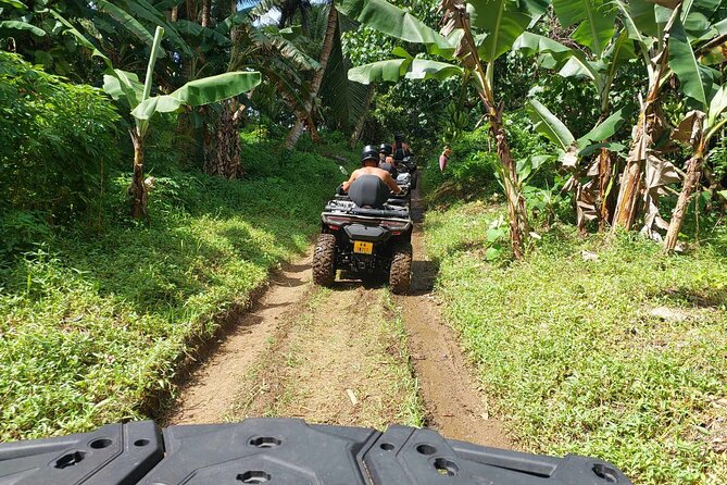 Guided tour of the island and its escapades in Tahaa by Quad / ATV - The island circuit and high lookouts
