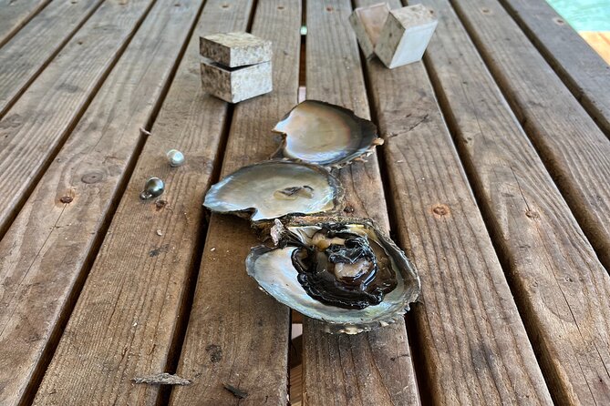 Guided tour of the island of Tahaa with Revanui Excursions - Lunch on a private motu
