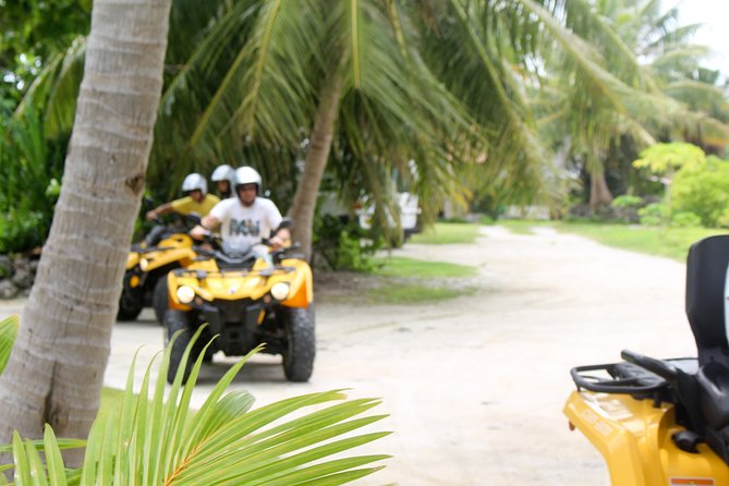 Guided tour of the island of Tahaa with Revanui Excursions - How the price measures up
