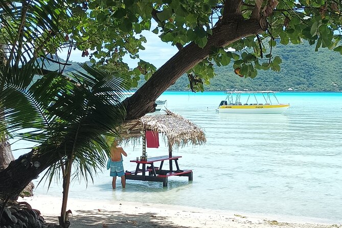 Half a day to discover Bora Bora with O-sea - A coral garden full of smaller details
