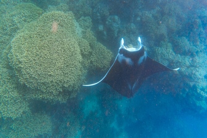 Half a day to discover Bora Bora with O-sea - Where lagoon water meets the open ocean
