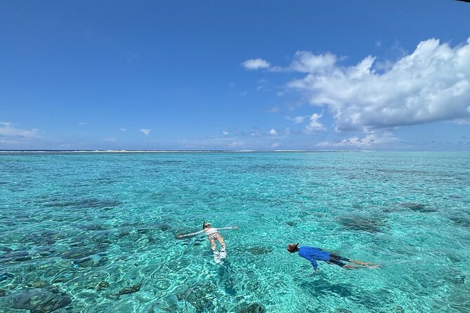 Half day Eco Snorkeling small group Tour in Bora Bora - Key points at a glance