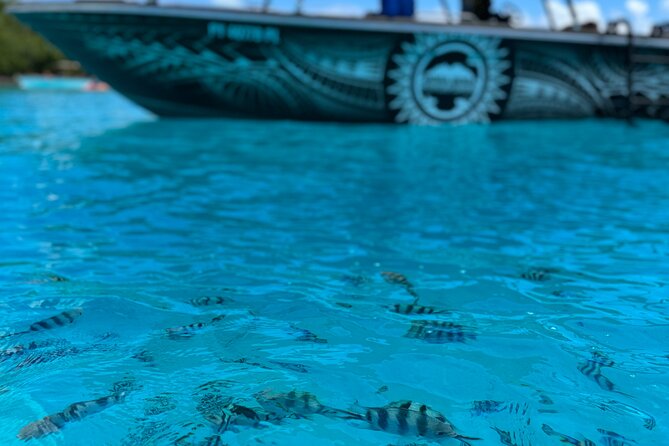 Half day Eco Snorkeling small group Tour in Bora Bora - What the open boat feels like