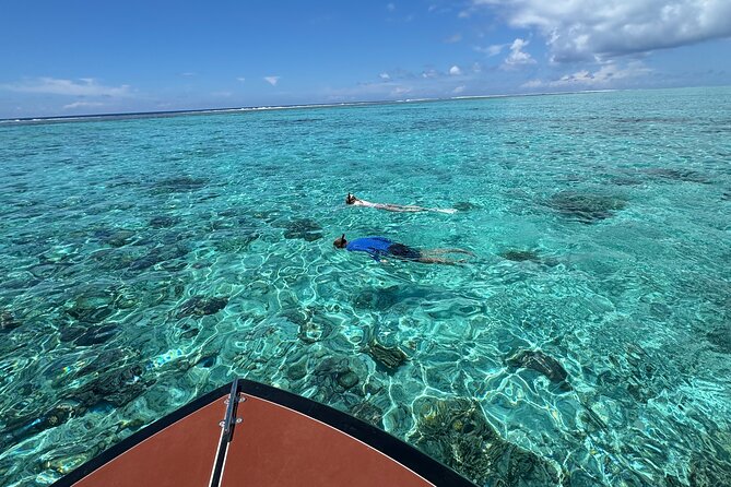 Half day Eco Snorkeling small group Tour in Bora Bora - My final booking advice