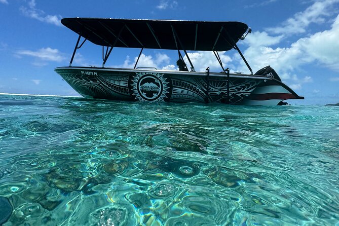 Half day Eco Snorkeling small group Tour in Bora Bora - Four underwater stops, four different views