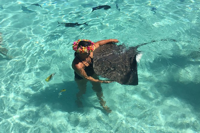 Half day Excursion, Drift Snorkeling Lagoon Adventure. 3H - Key things to know before you book