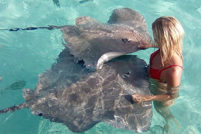 Half day Excursion, Drift Snorkeling Lagoon Adventure. 3H - What the crew adds to the day