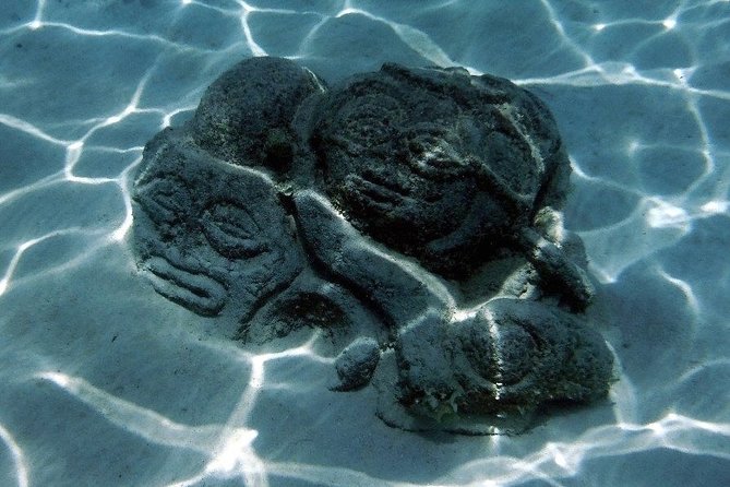 Half day Excursion, Drift Snorkeling Lagoon Adventure. 3H - Is $91.24 a fair price?
