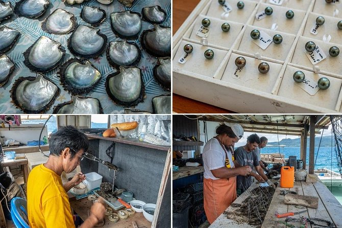 Half day excursion Tahaa - departure Raiatea / ideal cruise line - Learning how Tahaa grows and prepares vanilla