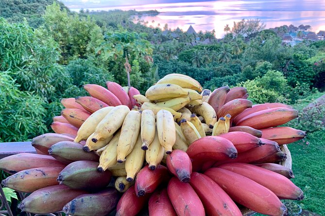 Half-Day Guided Hike to Afareaitu Waterfall - Guides make the difference