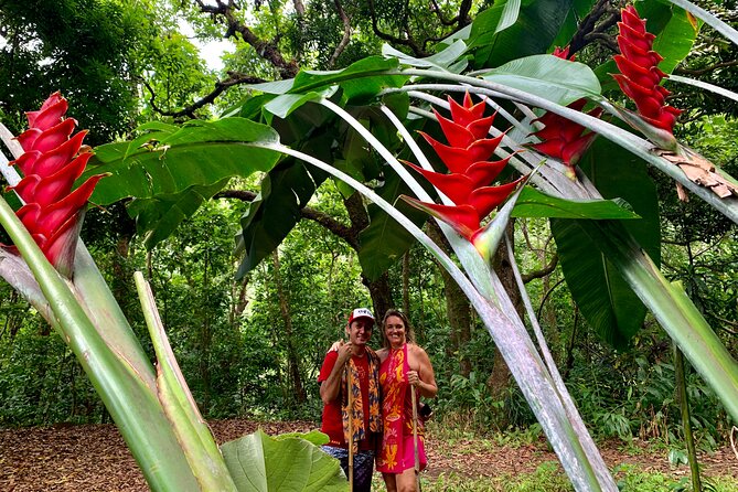 Half-Day Guided Hike to Afareaitu Waterfall - Is $97.17 good value?