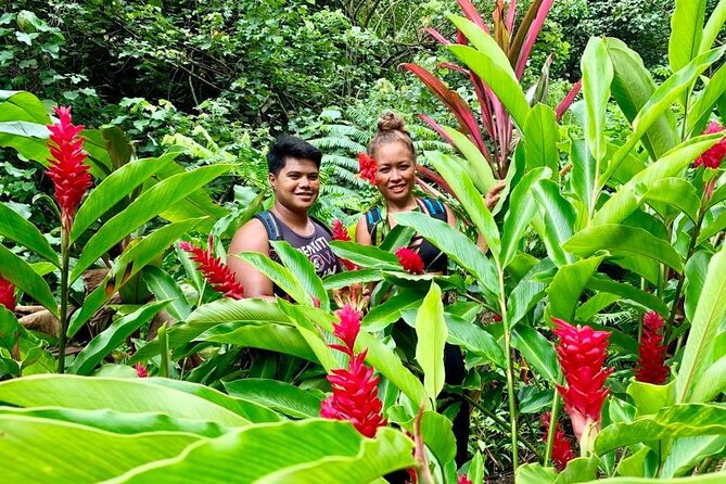 Half-Day Guided Hike to Afareaitu Waterfall - A forest trail with fruit, flowers, and old stonework
