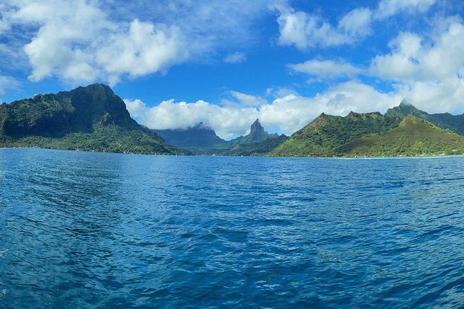 Half-Day Humpback Whales Encounter in Moorea - Key points to know before booking