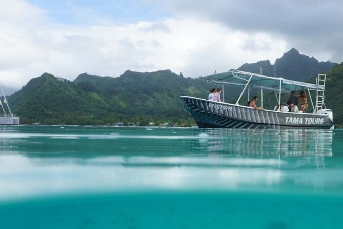 Half-Day Humpback Whales Encounter in Moorea - Why Moorea is special for humpback whales
