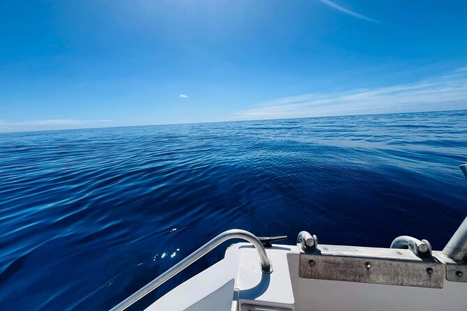 Half-Day Humpback Whales Encounter in Moorea - What the crew adds to the experience