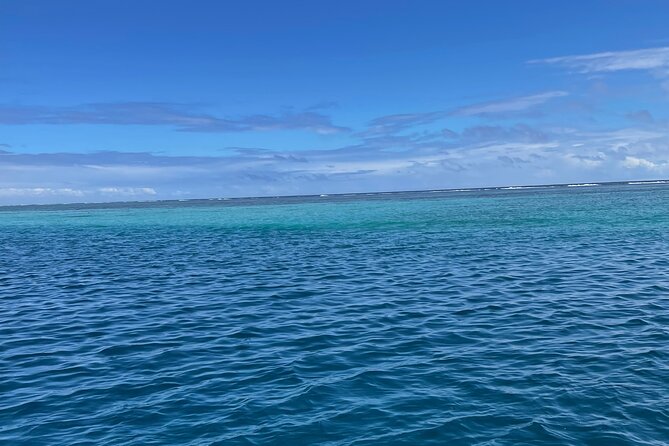 Half-Day Humpback Whales Encounter in Moorea - What you might actually see