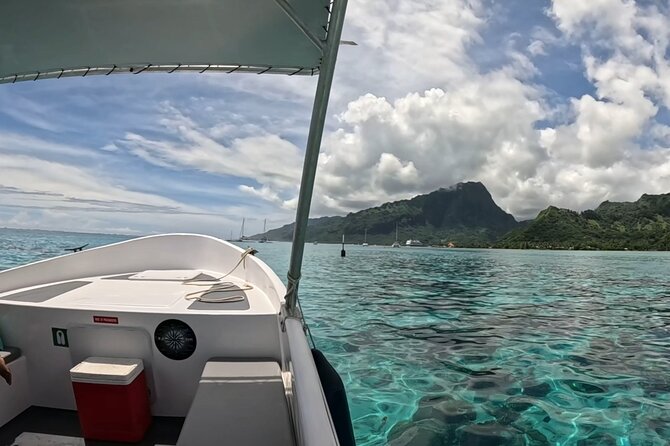 Half-Day Humpback Whales Encounter in Moorea - Is $236.85 a fair price?
